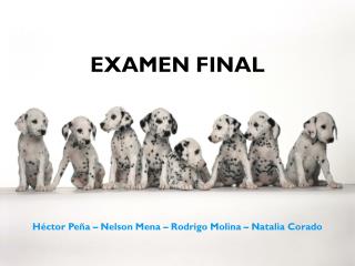 examen final