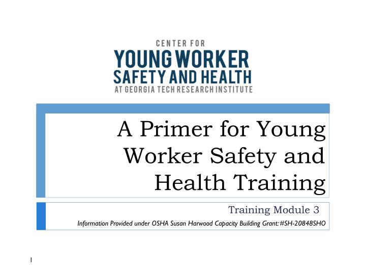 a primer for young worker safety and health training