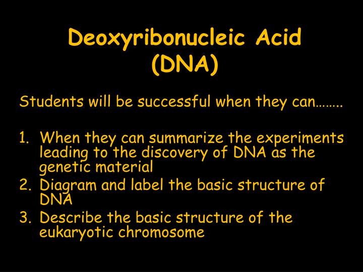 deoxyribonucleic acid dna