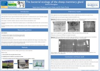 The bacterial ecology of the sheep mammary gland
