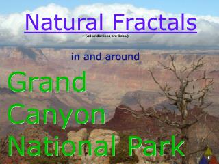 Natural Fractals