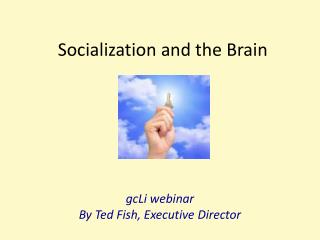 Socialization and the Brain