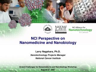 NCI Perspective on Nanomedicine and Nanobiology