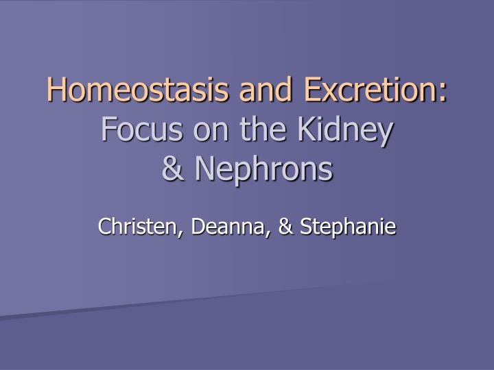 homeostasis and excretion focus on the kidney nephrons