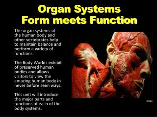Organ Systems Form meets Function