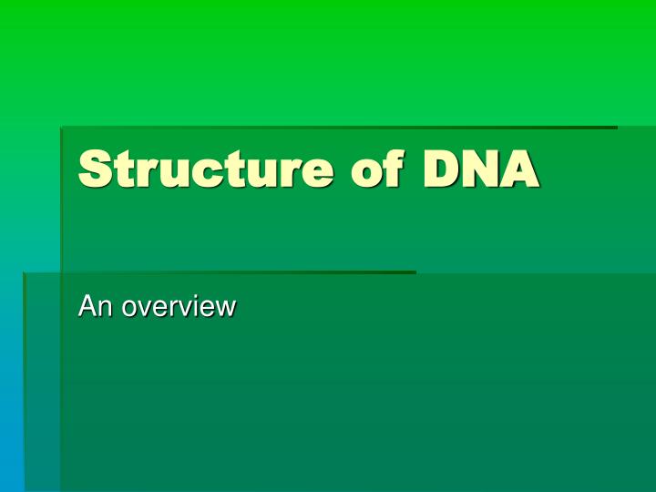 structure of dna