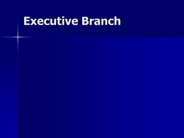 executive branch