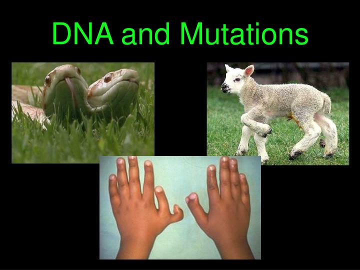 dna and mutations