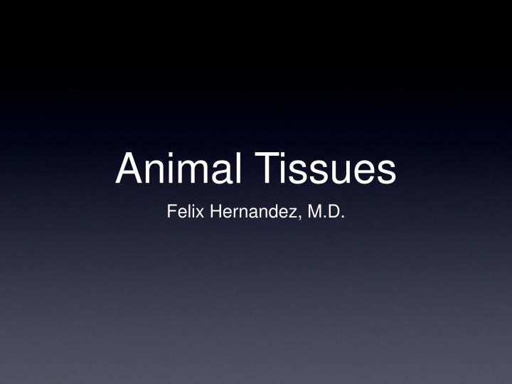animal tissues