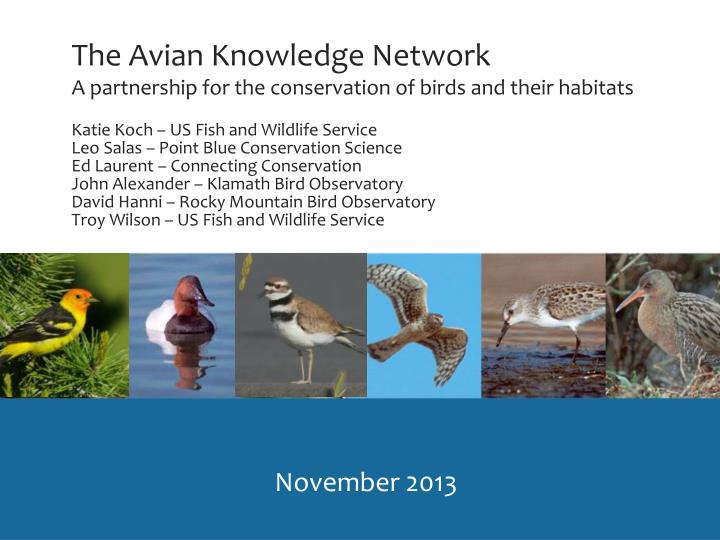 the avian knowledge network a partnership for the conservation of birds and their habitats