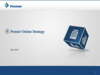 Pentair Online Strategy