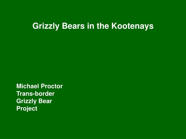 grizzly bears in the kootenays