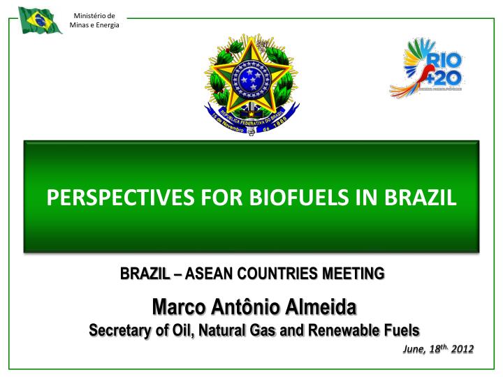 perspectives for biofuels in brazil