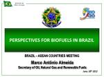 PERSPECTIVES FOR BIOFUELS IN BRAZIL - slide 1