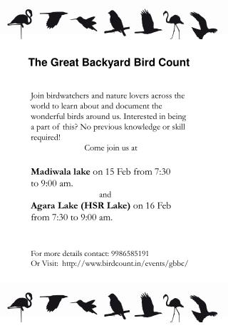 The Great Backyard Bird Count