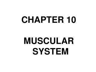 CHAPTER 10 MUSCULAR SYSTEM