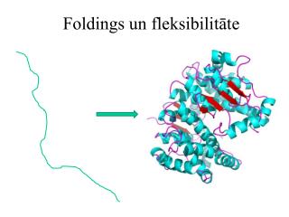 foldings un fleksibilit te