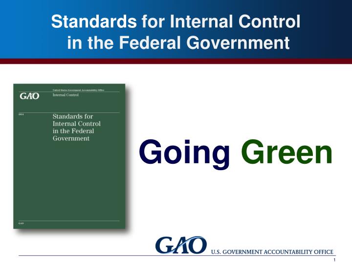 standards for internal control in the government