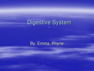 Digestive System `