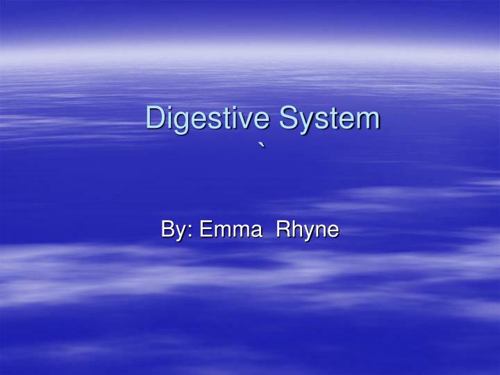 digestive system