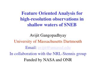 Feature Oriented Analysis for high-resolution observations in shallow waters of SNEB