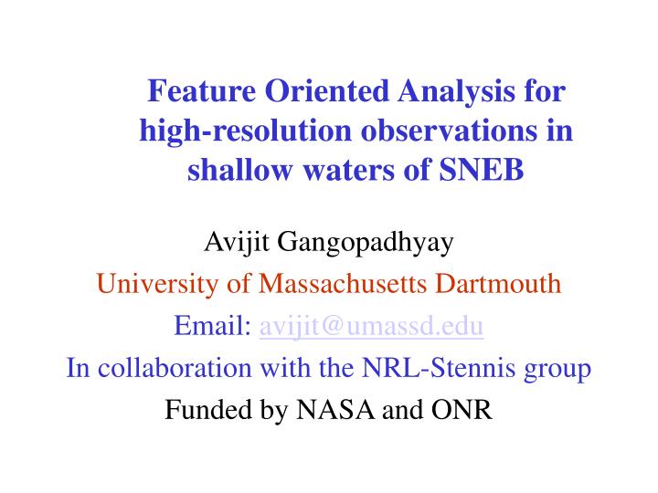 feature oriented analysis for high resolution observations in shallow waters of sneb