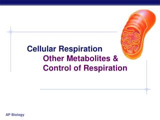 Cellular Respiration 	Other Metabolites &amp; 	Control of Respiration