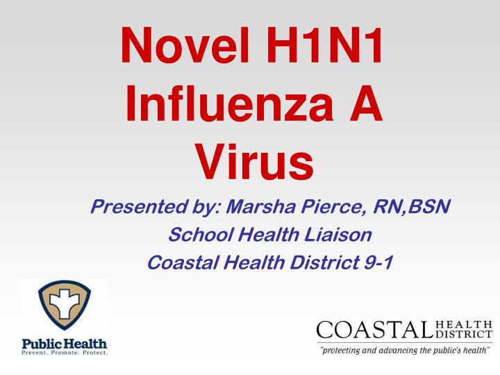 novel h1n1 influenza a virus