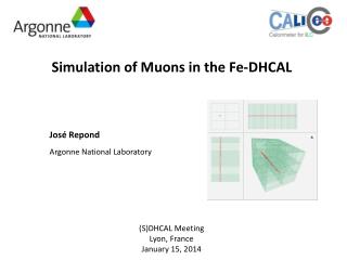 Simulation of Muons in the Fe-DHCAL