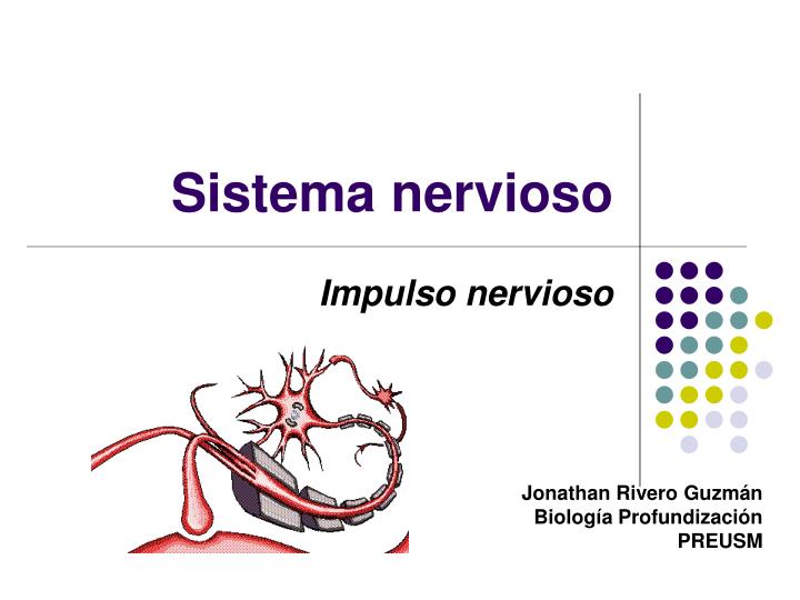 sistema nervioso