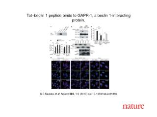 S S-Kawata et al. Nature 000 , 1-6 (2013) doi:10.1038/nature11866