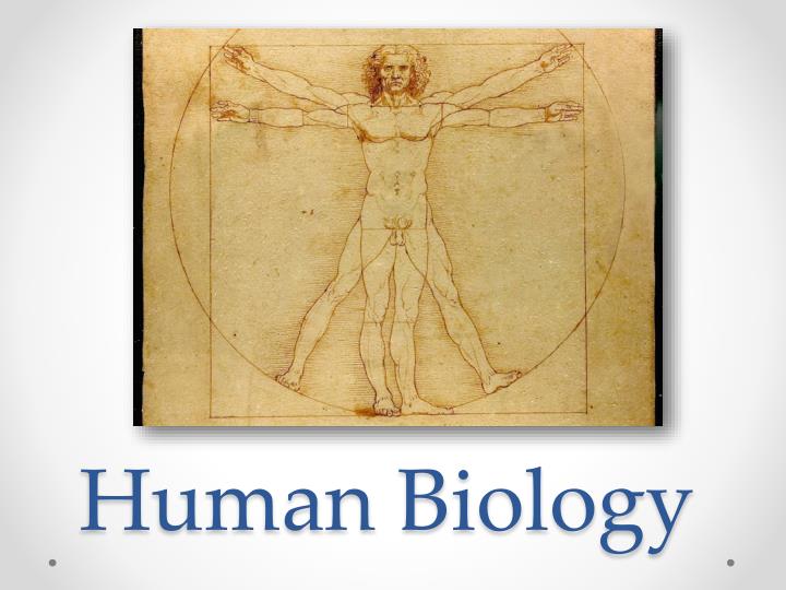 human biology