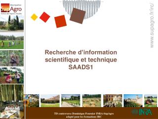 recherche d information scientifique et technique saads1