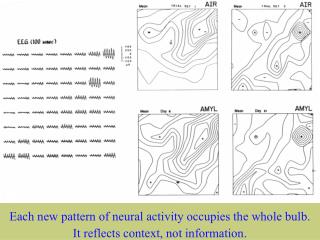 Spatial patterns of EEG