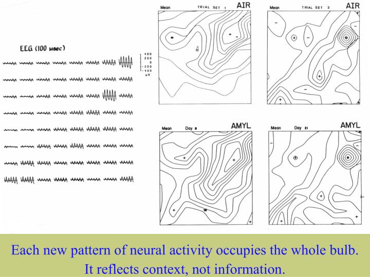 spatial patterns of eeg