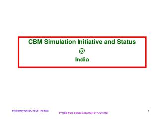 CBM Simulation Initiative and Status @ India