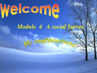 Module 4 A social Survey