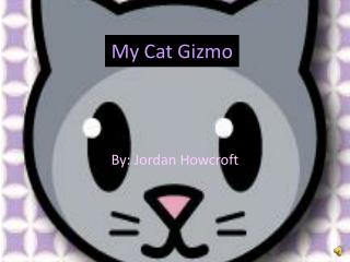 My Cat Gizmo