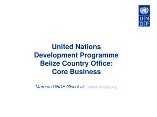 United Nations Development Programme Belize Country Office: Core Business