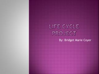 LIFE CYCLE PROJECT