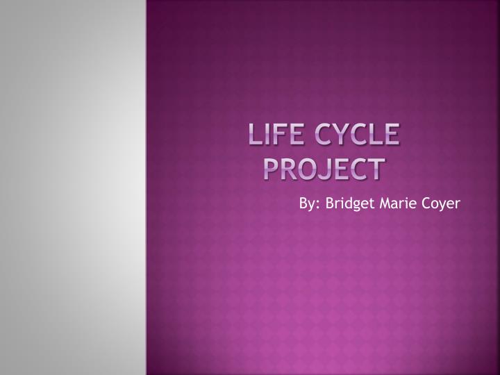 life cycle project