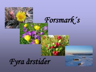 fyra rstider