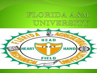 florida a m university