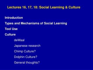 Lectures 16, 17, 18: Social Learning &amp; Culture Introduction