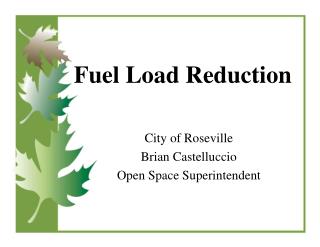 Fuel Load Reduction