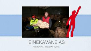 einekavane as