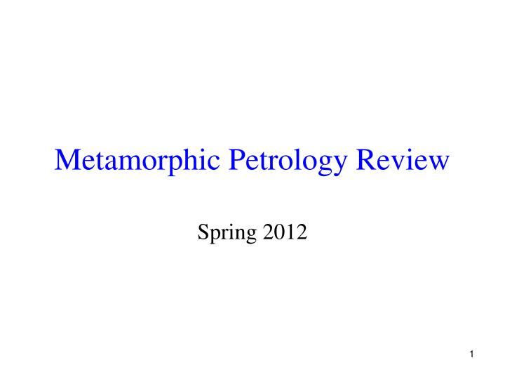 metamorphic petrology review