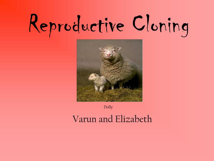 reproductive cloning