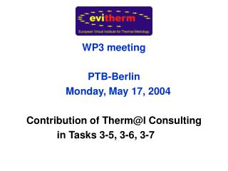 WP3 meeting PTB-Berlin Monday, May 17, 2004 Contribution of Therm@l Consulting