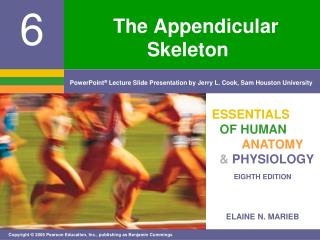 The Appendicular Skeleton